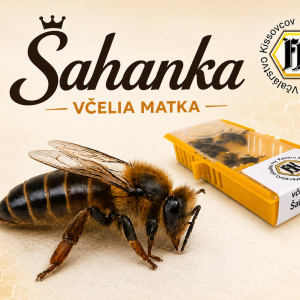 Včelia matka - voľne spárená