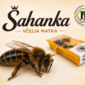 Včelia matka - inseminovaná